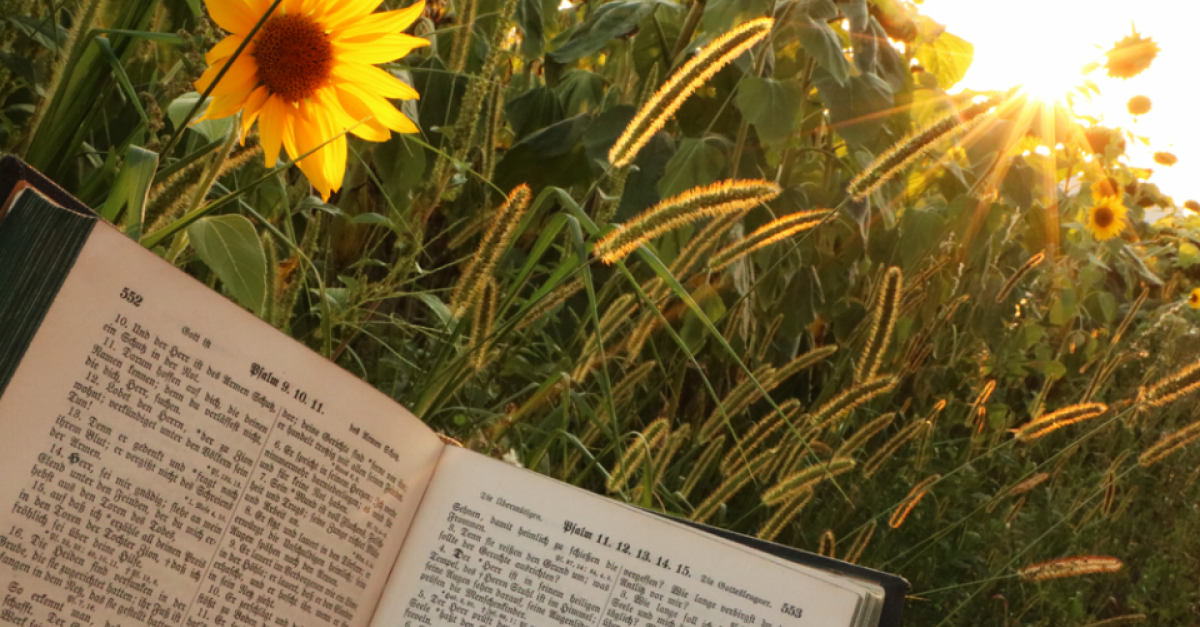 Bibelzitat Den Seinen Gibts Der Herr Im www.forumkirche.ch